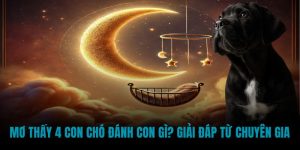 mơ thấy 4 con chó đánh con gì
