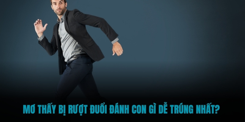 Mơ thấy bị rượt đuổi đánh con gì dễ trúng nhất? 
