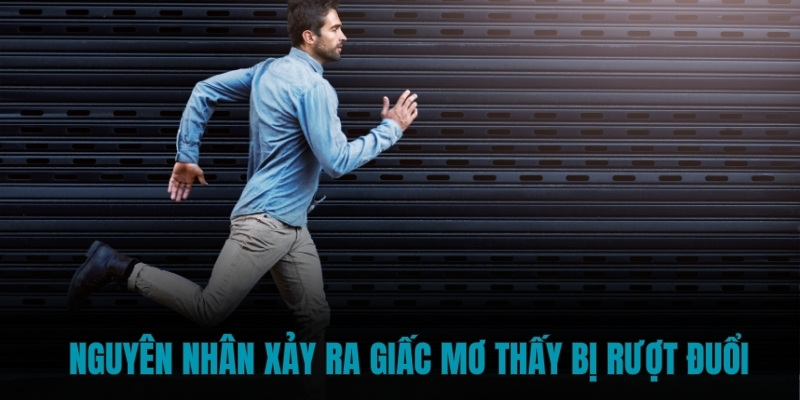 Nguyên nhân xảy ra giấc mơ thấy bị rượt đuổi