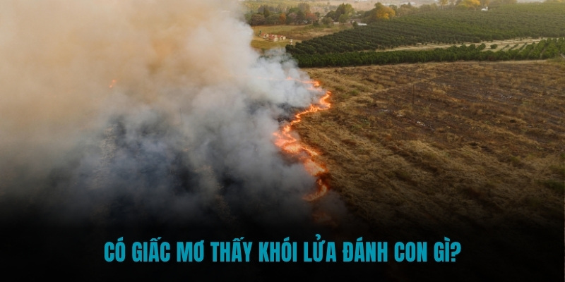 Có giấc mơ thấy khói lửa đánh con gì?
