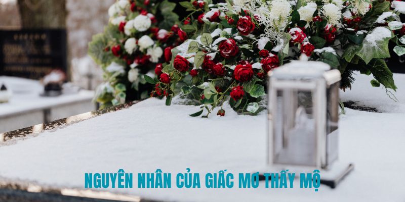 Nguyên nhân của giấc mơ thấy mộ Nguyên nhân của giấc mơ thấy mộ